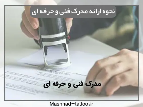 ارائه مدرک بین المللی آموزش تاتو ابرو در مشهد